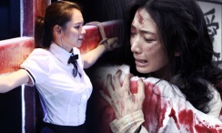 成人录相